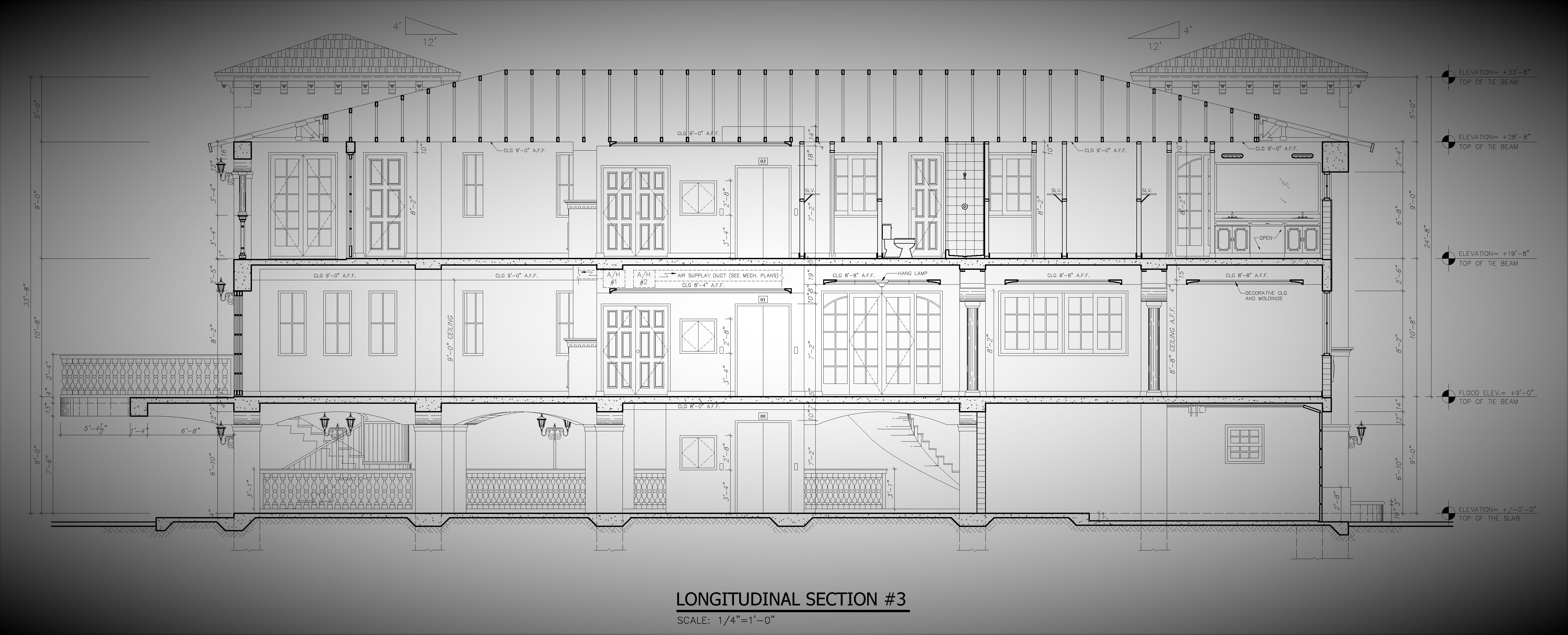 LONGITUDINAL SECTION #3(2)