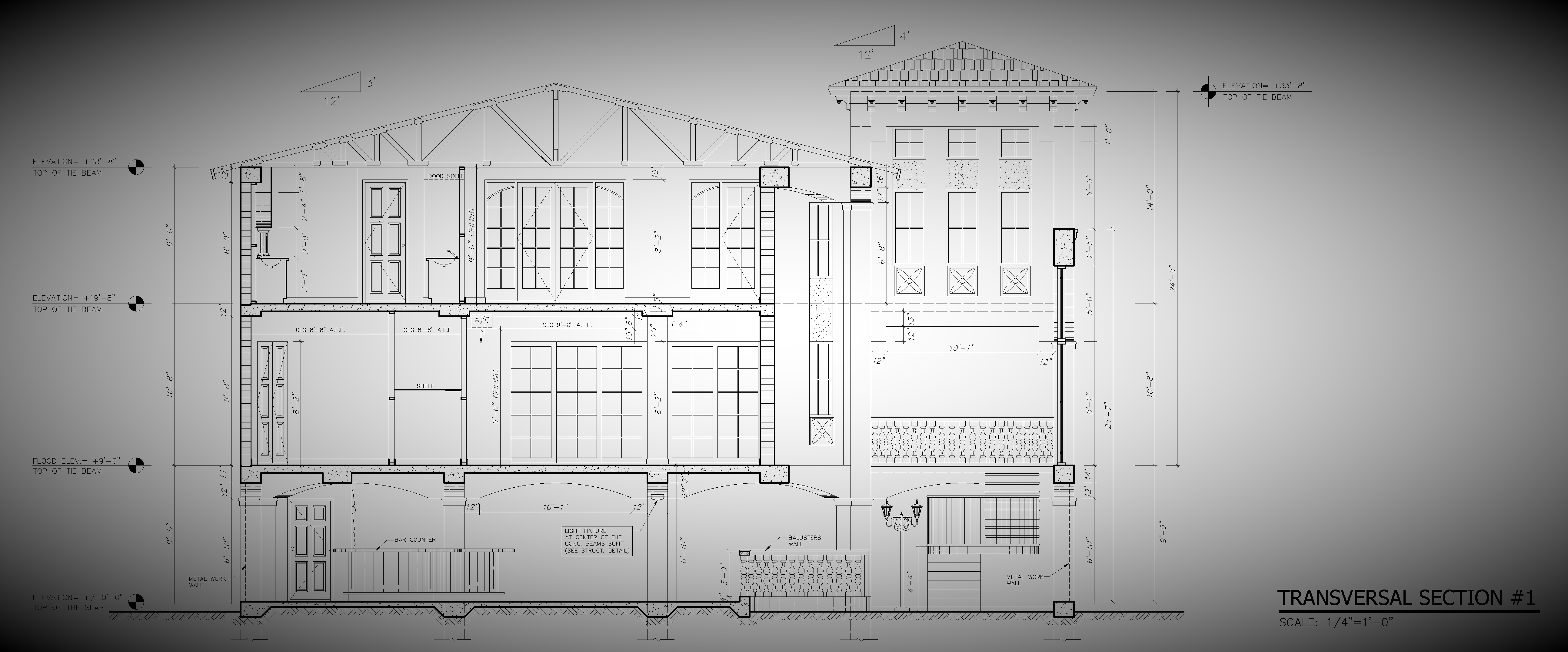 TRANSVERSAL SECTION #1(2)